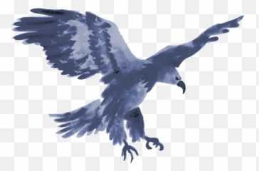 Healing Notes - Sea Eagle Emoji,Creatures With No Emotions And Hear