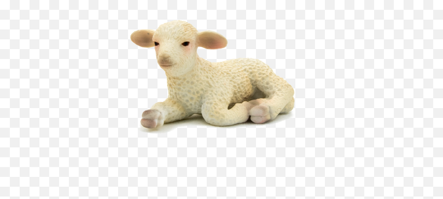 Hd Lamb Lying Down Png Transparent Png - Lamb Emoji Transparent Backround,Lying Down Emoji