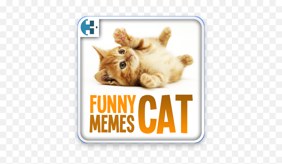 Funny Cat Memes 2017 Apk Download - Cat Toy Emoji,Cat Meme 100 Emoji