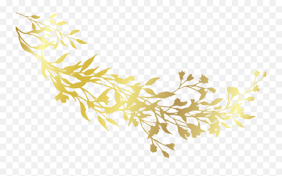 Best Life Coaching Online Melbourne Australia - Open For Life Emoji, Best Life Coaching Online Melbourne Australia - Open For Life Emoji,
