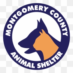 Lost Pet In Montgomery County Animal Shelter Emoji,Dog Emotions In Shelters