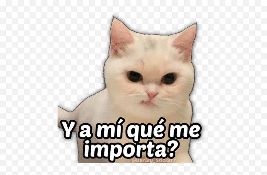 Memes Enojados - Photo Caption Emoji,Emojis Enojados