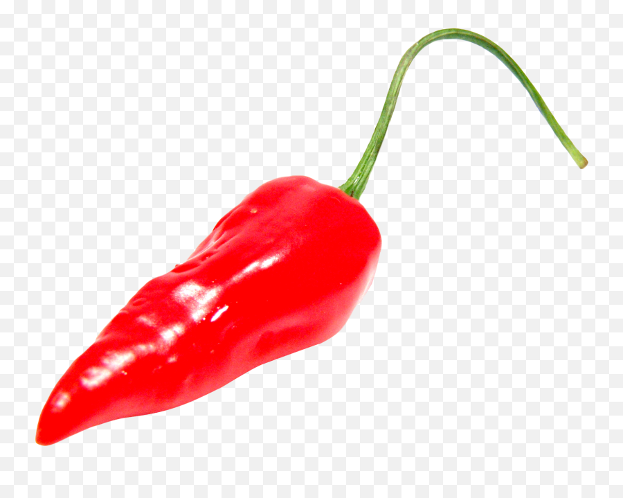 Pepper Png Images Black Green Chilli - Red Chili Pepper Png Emoji,Chili Pepper Emoji