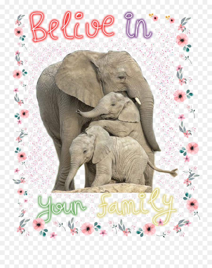 Scelephant Elephant Elephants Sticker Emoji,Baby Elephant Emoji