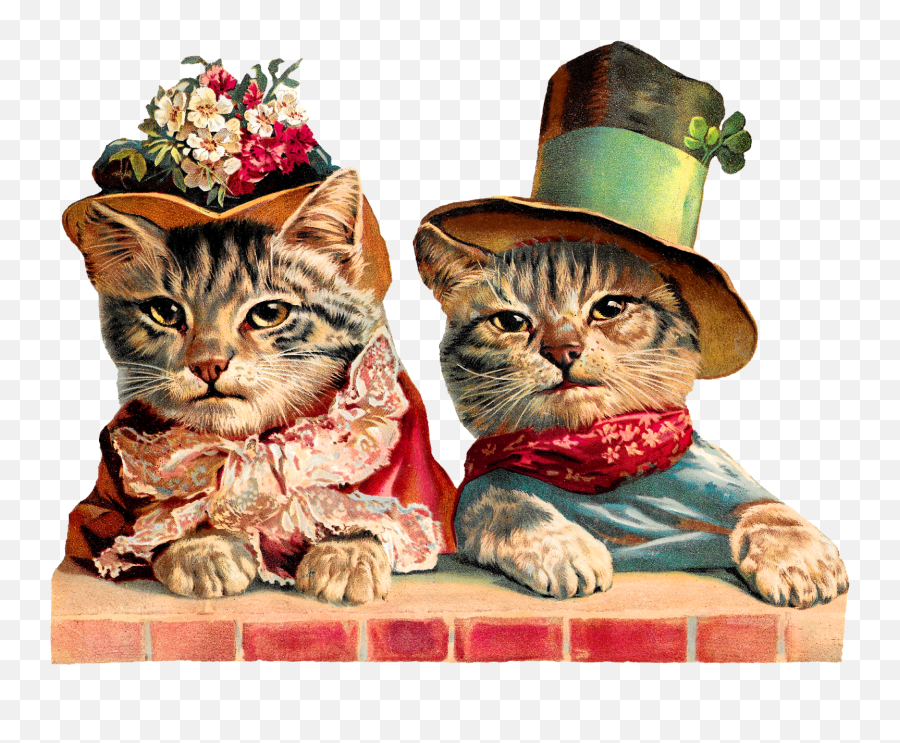 Library Of Cat And Hat Graphic Png Files Clipart Art 2019 - Cats With Hats Clip Art Emoji,Ham Cat Emoji