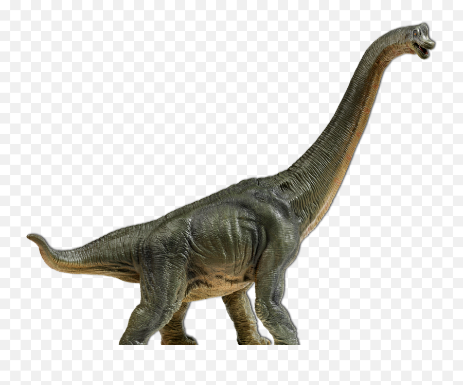 Dinosaurus Png - Clip Art Library Dinosaur Long Neck Png Emoji,Dinosaur Emojis Android