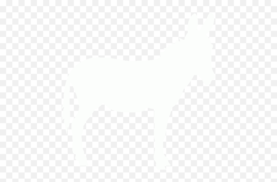White Donkey 2 Icon Emoji,Donkey Emoticon
