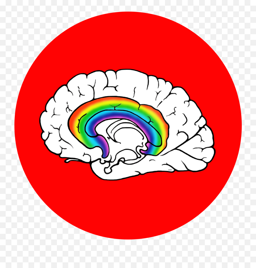 Neuropsychological Assessment Ormond Neuroscience - Hyde Park Emoji,Mri Scans Of Different Emotions