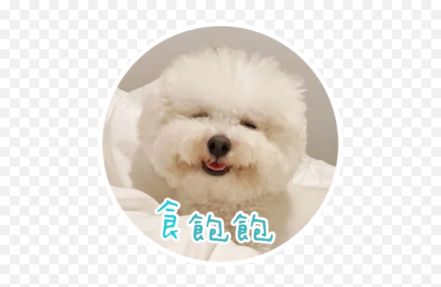 Trending Stickers For Whatsapp Page 283 - Stickers Cloud Northern Breed Group Emoji,Yoyo And Cici Emoticon