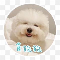 Trending Stickers For Whatsapp Page 283 - Stickers Cloud Northern Breed Group Emoji,Yoyo And Cici Emoticon