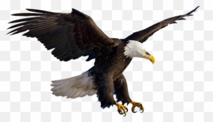 Eagle Gaint Flying Flyingeagle Sticker - Bald Eagle Transparent Emoji,American Eagle Emoji