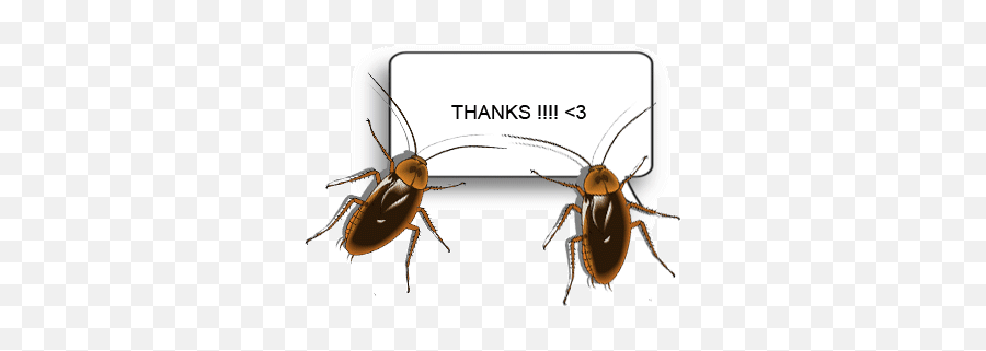 Moving Cockroach - Cockroaches Moving Gifs Png Emoji,Cockroach Emoji