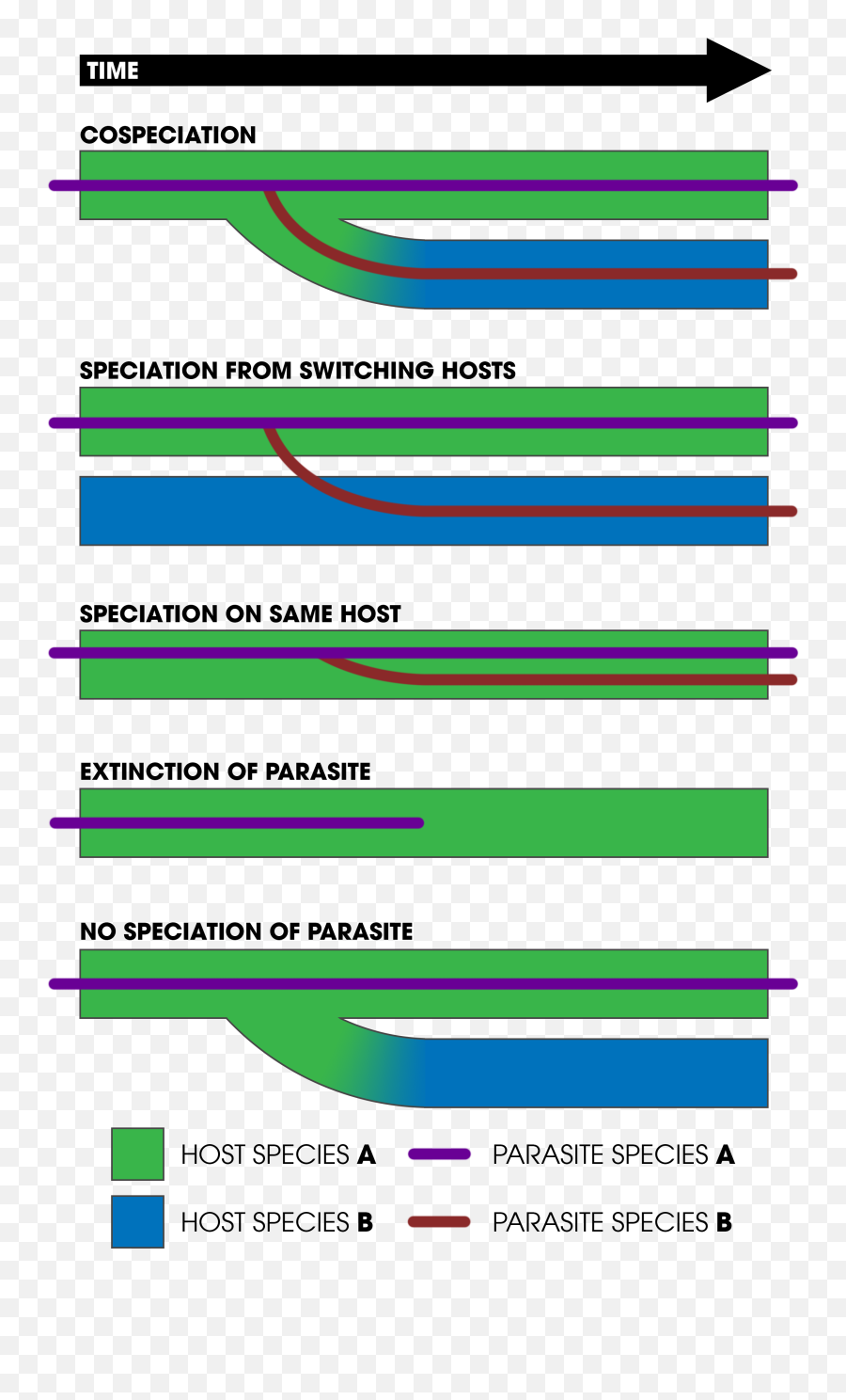 Cospeciation Emoji,Emotion Leggett New Anthro Cospeciation Emoji,Emotion Leggett New Anthro