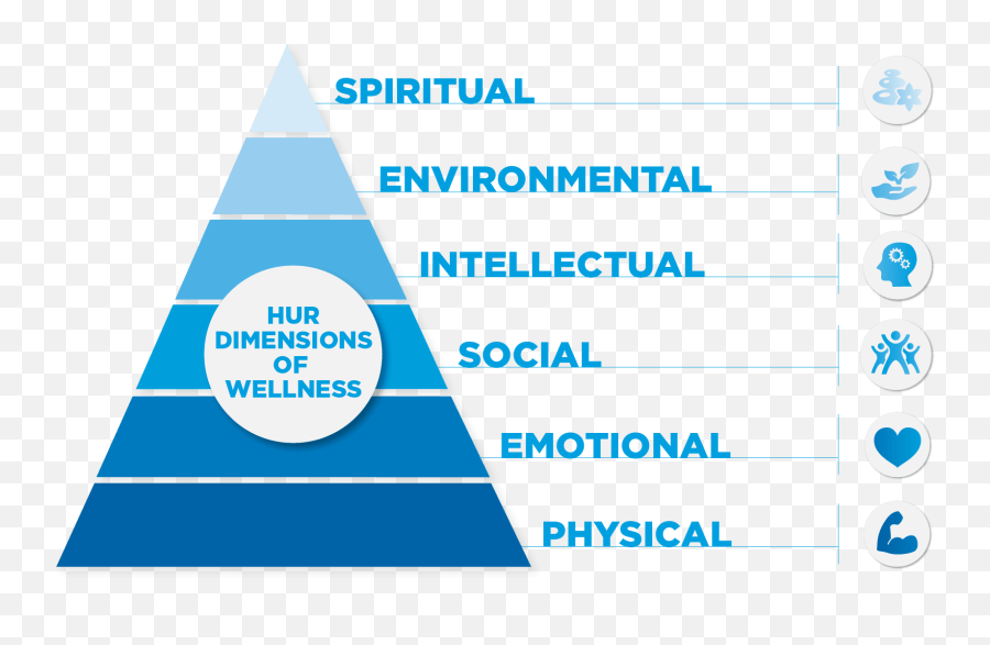 The Six Dimensions Of Wellness U2022 El Paso Tx Health Coach Clinic - Physical Emotional Mental Spiritual Social Intellectual Emoji,Emotions Blade And Soul