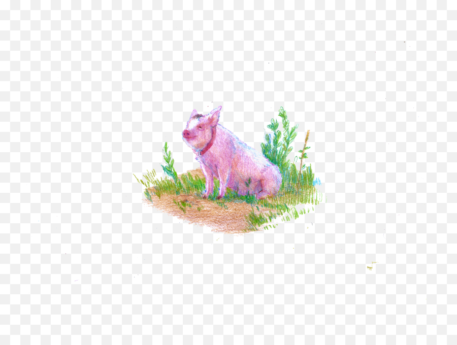 The Unexpected Symphony Of The Sheep - Pig U2013 Bubble Gum Magazine Animal Figure Emoji,Dog Emotion Committed To Human Pig