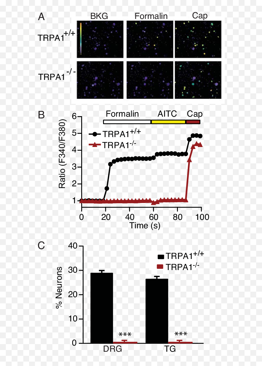 Drg Neurons From Trpa1 - Plot Emoji,Emotion Single Channel Pipette