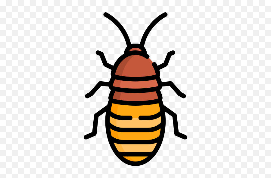 Madagascar Hissing Cockroach - Free Animals Icons Icon Emoji,Facebook Cockroach Emoticon