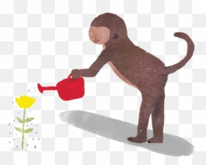 Program Emoji,Monkey Emotions Feelings