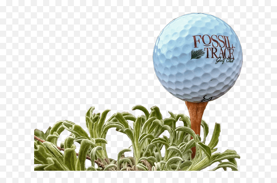 Top Denver Golf Courses Best Colorado Golf Courses Emoji,Facebook Emoticons Golf