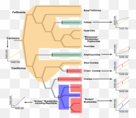 The Evolution Of Carnivoran Encephalization Mapped Onto The Emoji,Evolution & Emotions