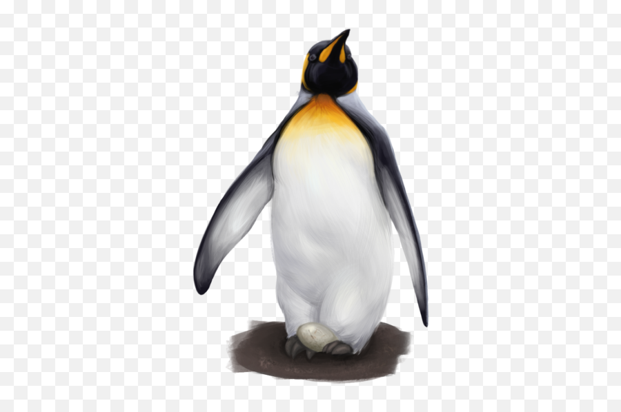 Craft Material Natureworld Home U2013 Onlinefestivalitfsde Emoji,Penguin Parrot Emoji