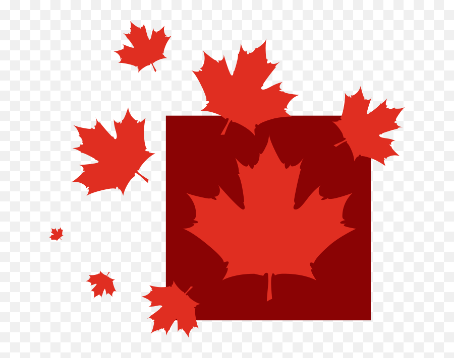 Human Rights Archives - New Canadian Media Emoji,Taliban Flag Emoji