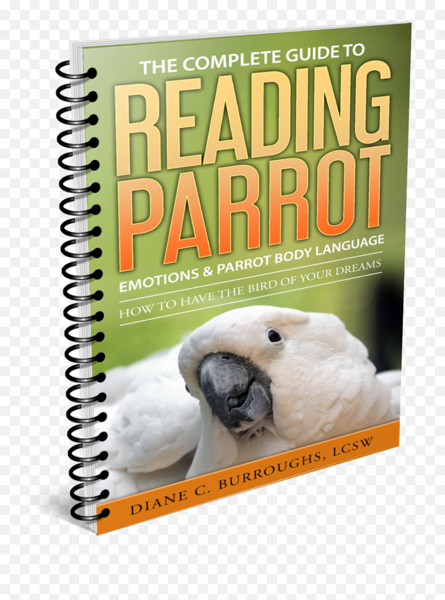 The Complete Guide To Reading Bird Body - Sketch Pad Emoji,All Of Those Dreams Are An Empty Emotion