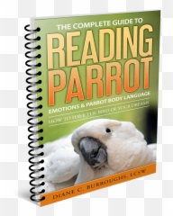 The Complete Guide To Reading Bird Body - Sketch Pad Emoji,All Of Those Dreams Are An Empty Emotion