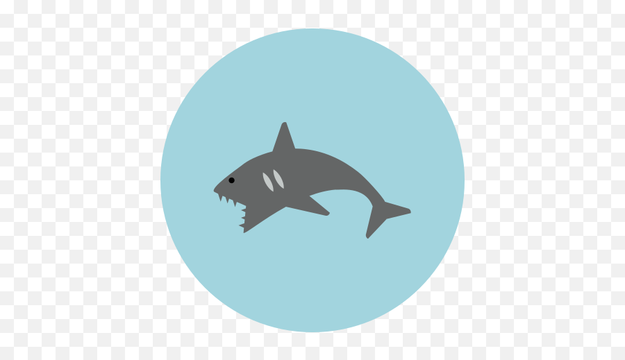 Icono De Tiburón Estilo Infographic - Les Animaux De La Mer En Francais Emoji,Emoticon De Tiburon Para Youtube
