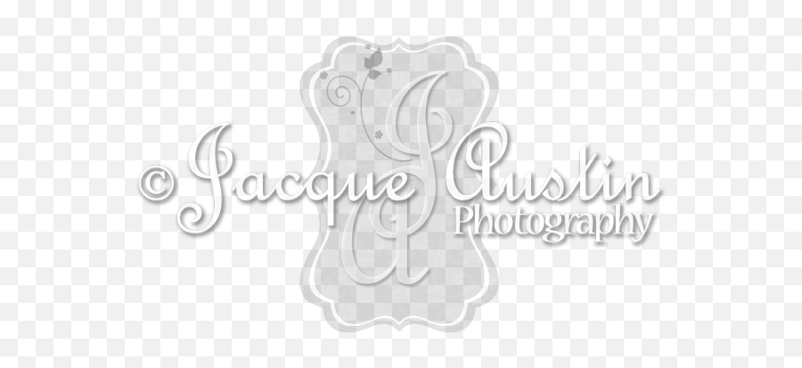 Weddings U2014 Jacque Austin Photography Emoji,Emotions Of The Accordion