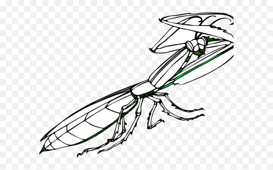 Praying Mantis Clipart - Gambar Belalang Sembah Kartun Emoji,Mantis Emoji