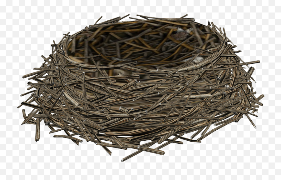 Birds Nest - Bird Nest Png Emoji,Bird Nest Emoji