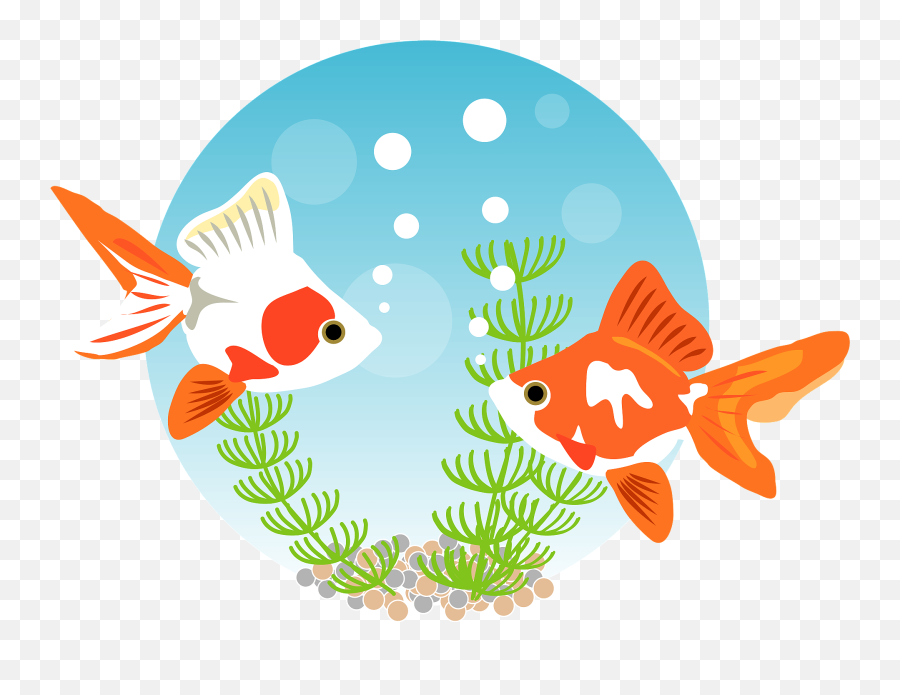 Goldfish Clipart Free Download Transparent Png Creazilla - Clipart Goldfish Emoji,Seaweed Emoji