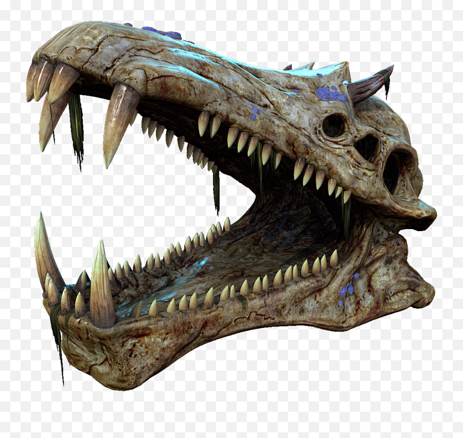 Fossil Png - Dinosaur Skull Png Subnautica Leviathan Skull Gargantuan Leviathan Emoji,Fossil Emoji