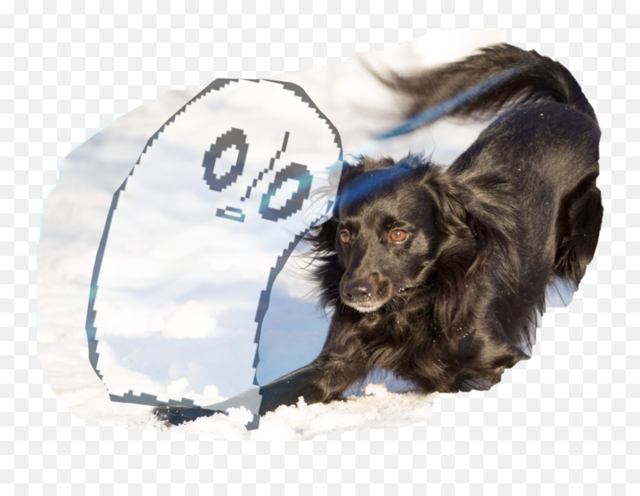 Nabstablook Dog Undertale Sticker - Dog Supply Emoji,Why Is The Annoying Dog Emoticon Undertal