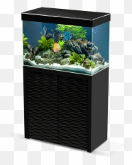 Emotions One 80 - Aquarium Emotion Nature One Emoji,Water Emotions
