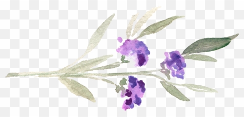 What Is A Doula Sweet Lilac Doula Emoji,Emotion Leaf Friendship Violet