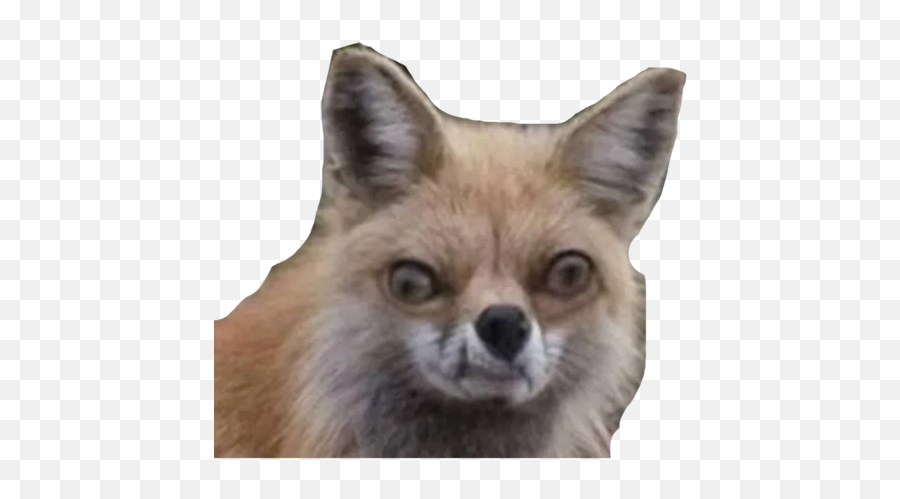 Nahja By You - Sticker Maker For Whatsapp Emoji,What Happened To Gun Emoji Fox