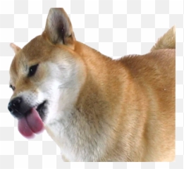Download Dancing Doge Png - Shiba Inu Licking Screen Full Emoji,Shiba Inu Emoji Png