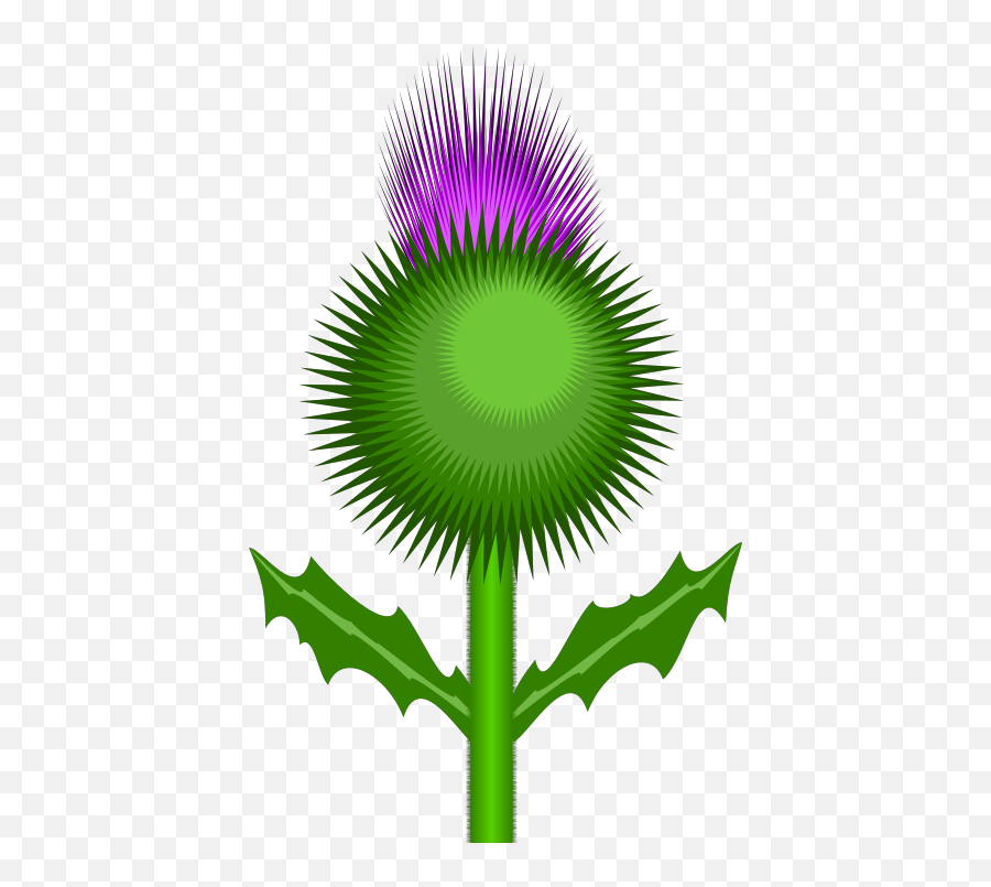Scottish Thistle Png Svg Clip Art For Web - Download Clip Scottish Thistle Cartoon Emoji,Scottish Flag Emoji