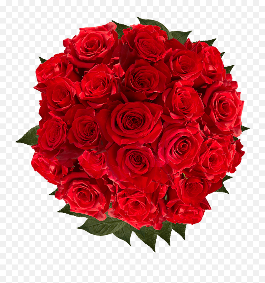 Gorgeous Red Roses - Romantic Emoji,Deep Emotions Roses