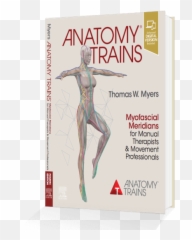 Anatomy Trains - Fourth Edition Book Cover Emoji,Train Train Train Train Emoji