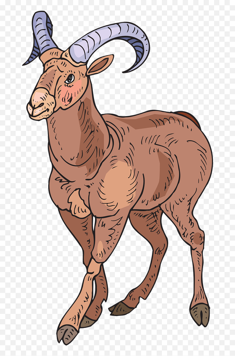 Stylized Sheep Style Horn Png Picpng - Bighorn Sheep Clipart Transparent Emoji,Sheep Emoji