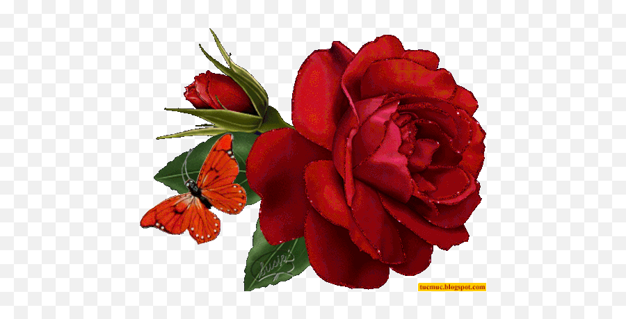 Rose Sparkle Gif - Rose Sparkle Butterfly Discover U0026 Share Gifs Beautiful Candle Gif Glitter Emoji,Facebook Rose Emoji