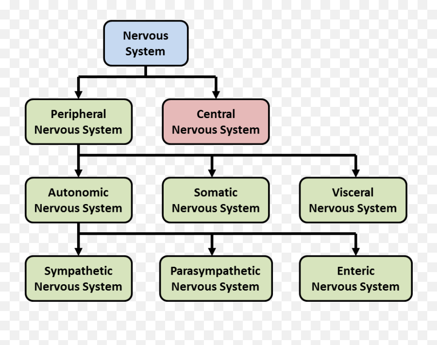 Unit 6 Emoji,Is The Nervous Syst Responsible For Some Emotions