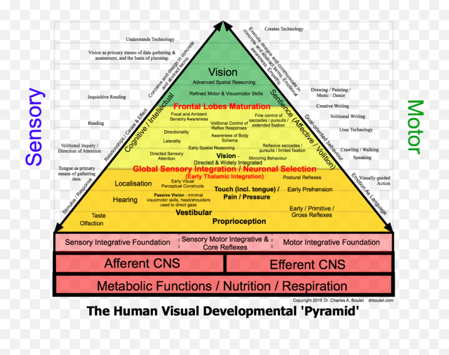 Visual Impediments To Learning - Developmental Pyramid Emoji,Emotion Checkist