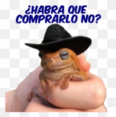 Memes Animales 1 By Dominsf - Sticker Maker For Whatsapp Emoji,Meme Emojis Cowboy