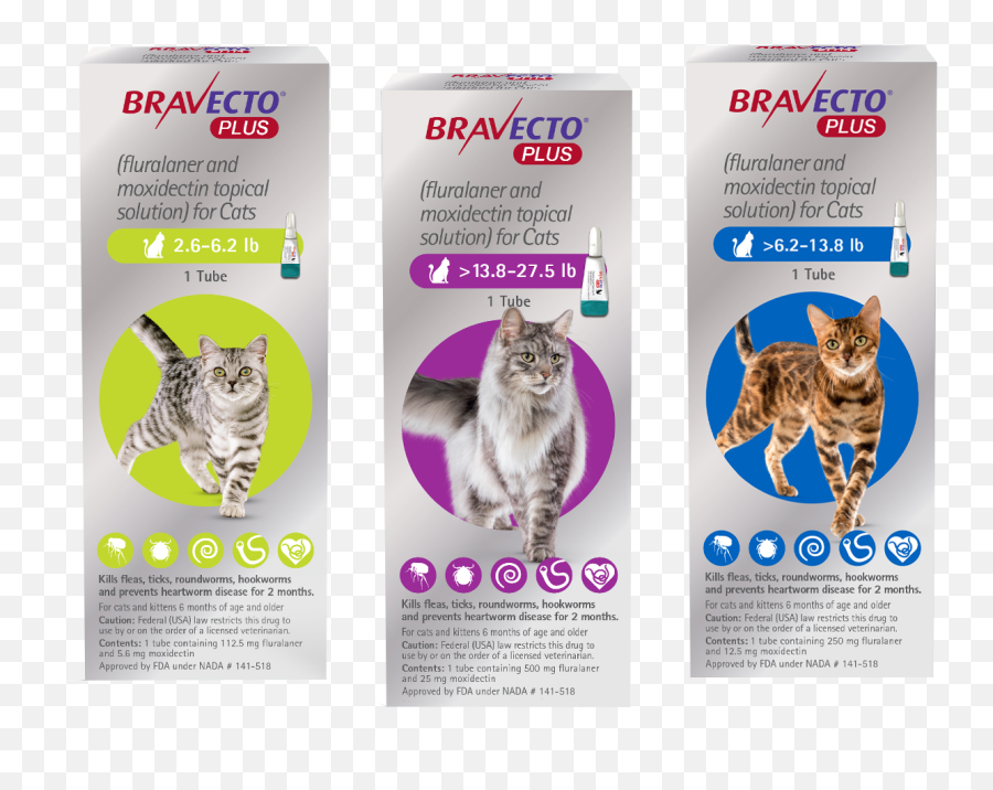 Flea U0026 Tick Treatment For Cats Bravecto Fluralaner Emoji,Tubs The Cat Emoticon