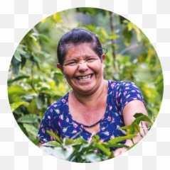Sos Scale - Up Program Seedchange Seedchange Emoji,Facial Emotions For Ppt