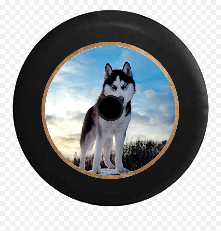 Jl Hole Animal Tire Covers U2013 Page 2 U2013 Tirecoverpro Emoji,Boxer Dog Emoticons